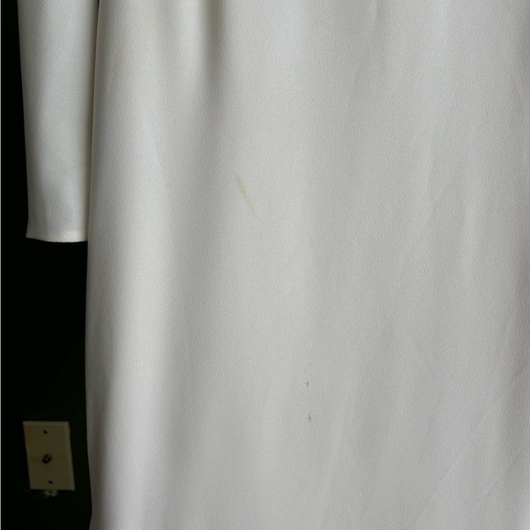 Beautiful Adrienne Wedding Gown - Picture 15 of 16